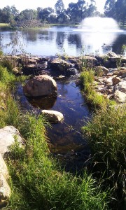 Image Central-Park-002s