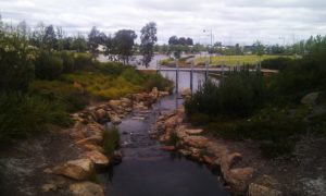 Image Central-Park-005