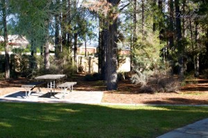 Moulton-Wetlands-001